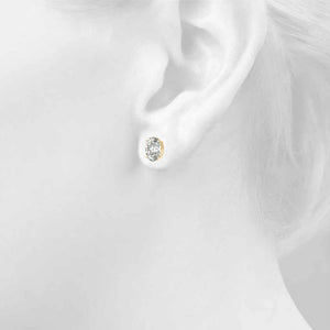 Oval 14K Yellow Gold Four-Prong Stud Earrings