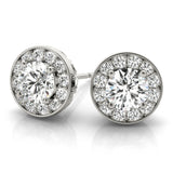 Halo Round 14K White Gold Stud Earrings