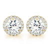 Halo Round 14K Yellow Gold Stud Earrings