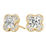 Halo Round 14K Yellow Gold Stud Earrings
