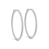 Inside-Out Four-Prong 14K White Gold Oval Hoop Earrings (1.0, 1.5, 2.0-inch Options)