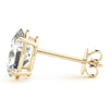Oval 14K Yellow Gold Four-Prong Stud Earrings